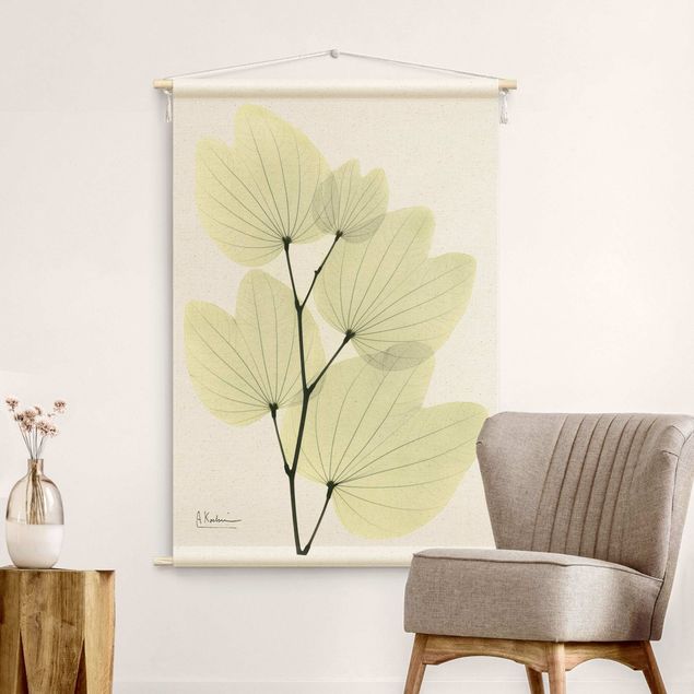 Wandbehang groß X-Ray - Orchideenbaumblätter