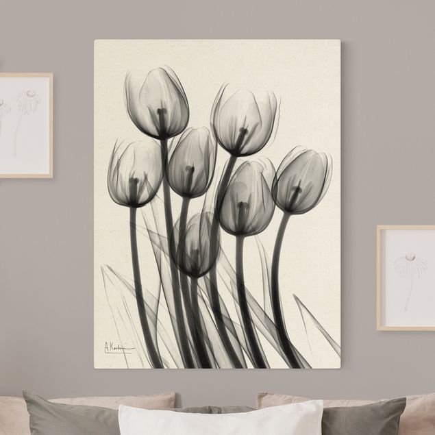 Blumenbilder auf Leinwand X-Ray - Tulpen