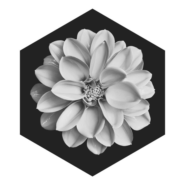 Hexagon Mustertapete selbstklebend - Zarte Dahlie in Schwarz-Weiß