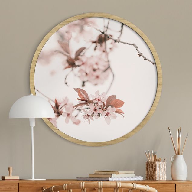 Moderne Bilder mit Rahmen Zarte Kirschblüten am Zweig