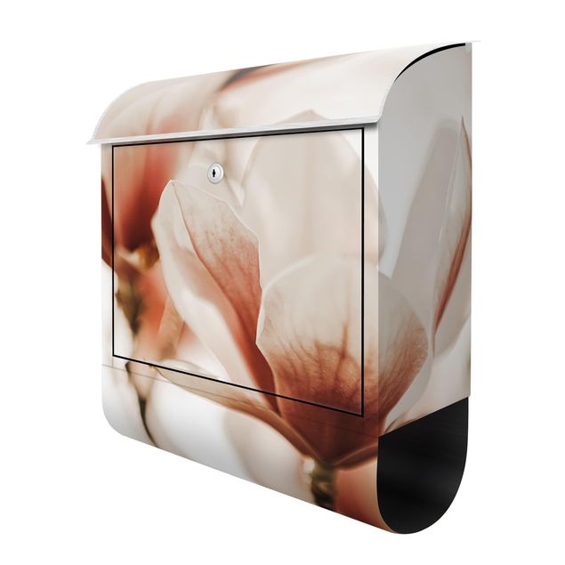 Briefkasten modern Zarte Magnolienblüten im Lichtspiel