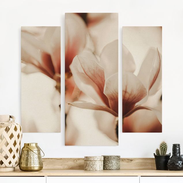 Leinwandbilder kaufen Zarte Magnolienblüten im Lichtspiel
