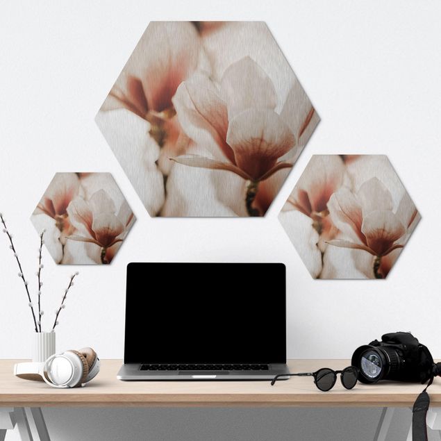 Hexagon Bild Alu-Dibond - Zarte Magnolienblüten im Lichtspiel
