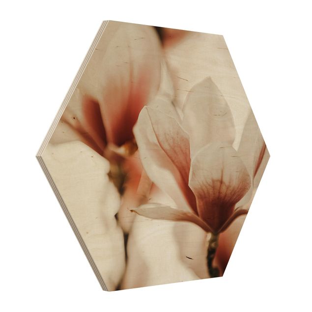 Hexagon Bild Holz - Zarte Magnolienblüten im Lichtspiel