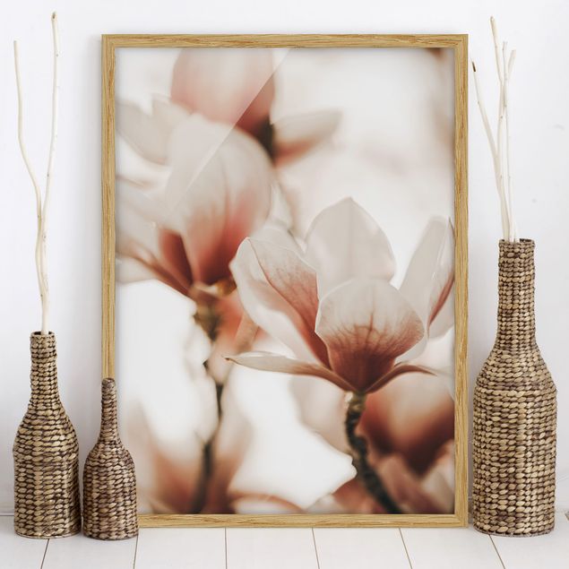 Moderne Bilder mit Rahmen Zarte Magnolienblüten im Lichtspiel
