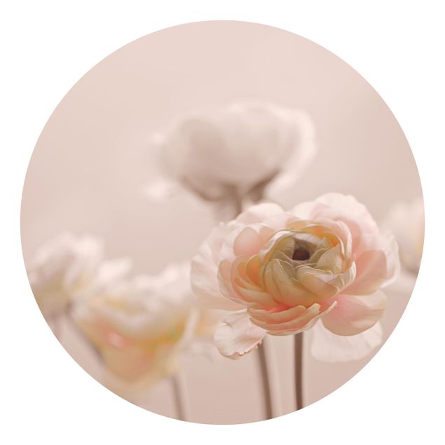 Tapeten kaufen Zarter Strauch an Rosa Blüten
