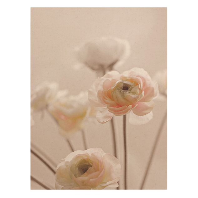 schöne Bilder Zarter Strauch an Rosa Blüten