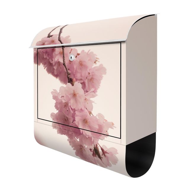 Briefkasten Design Zartrosane Frühlingsblüte mit Bokeh