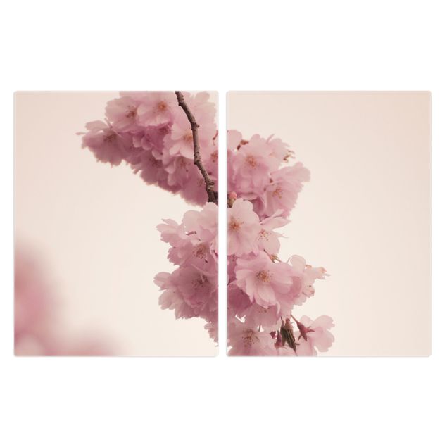 Herdabdeckplatte Glas - Zartrosane Frühlingsblüte mit Bokeh