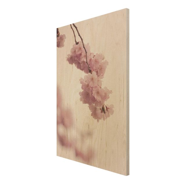 Bilder auf Holz Zartrosane Frühlingsblüte mit Bokeh