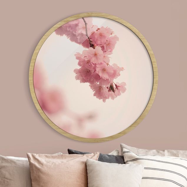 Moderne Bilder mit Rahmen Zartrosane Frühlingsblüte mit Bokeh