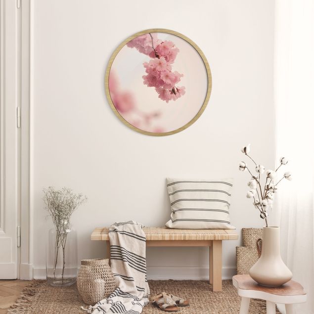 Blumen Bilder mit Rahmen Zartrosane Frühlingsblüte mit Bokeh