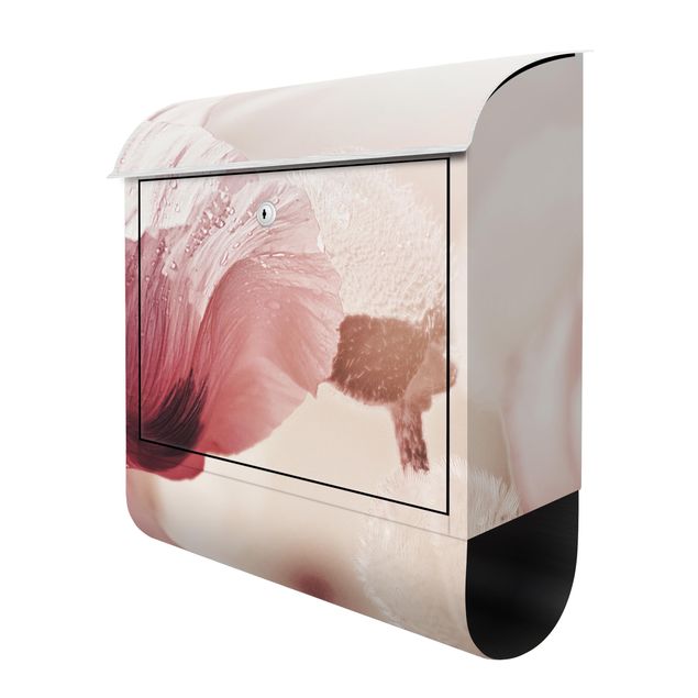 Design Briefkasten Zartrosane Mohnblüte mit Wassertropfen