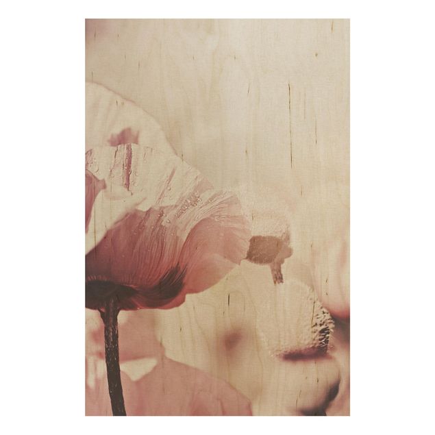 Holzbilder Vintage Zartrosane Mohnblüte mit Wassertropfen