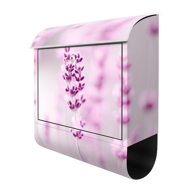Briefkasten Design Zartvioletter Lavendel