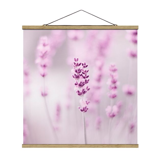 Stoffbild mit Posterleisten - Zartvioletter Lavendel - Quadrat 1:1