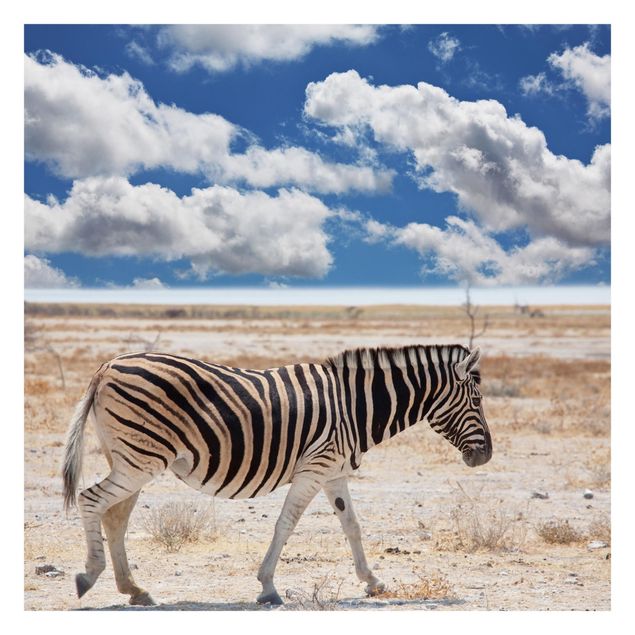 Tapete selbstklebend Zebra in der Savanne