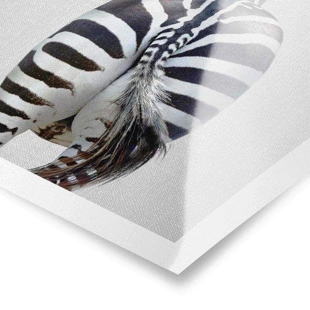 Poster - Zebra von hinten - Hochformat 3:4