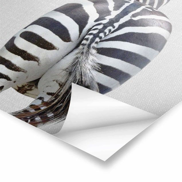 Poster - Zebra von hinten - Hochformat 3:4