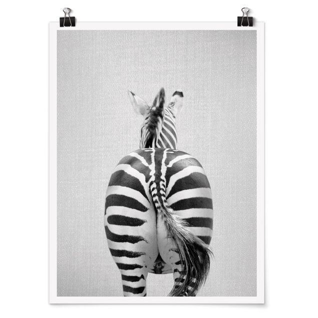 Bilder Zebra von hinten Schwarz Weiß