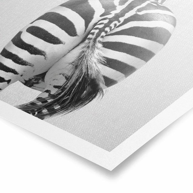 Poster Zebra von hinten Schwarz Weiß