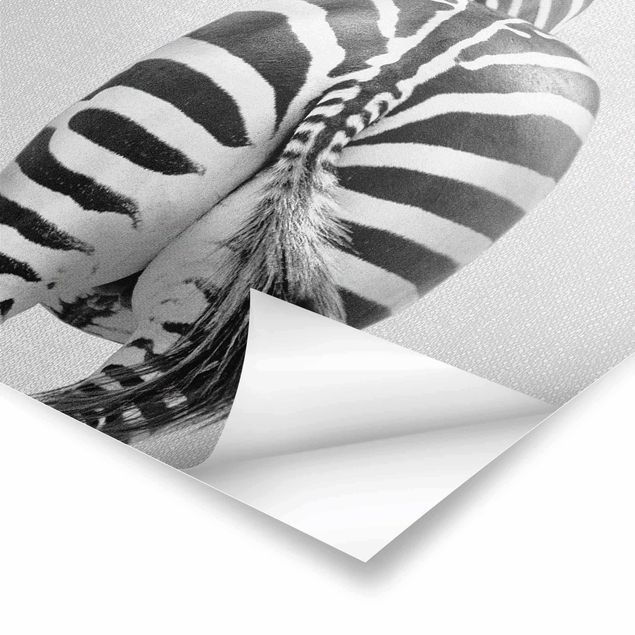 Poster - Zebra von hinten Schwarz Weiß - Hochformat 3:4