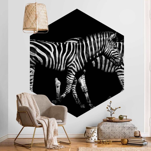Design Tapeten Zebra vor Schwarz