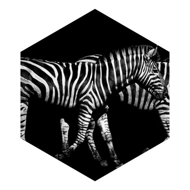 Vliestapete Zebra vor Schwarz