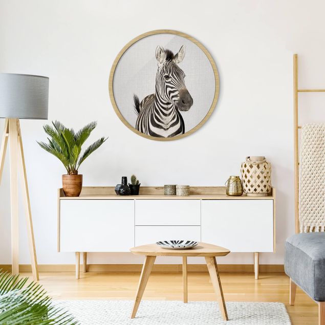 Tiere Bilder mit Rahmen Zebra Zilla