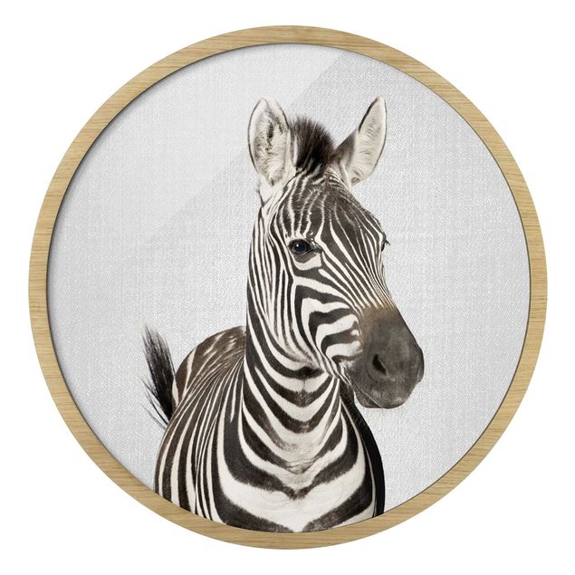 Wandbilder Zebra Zilla