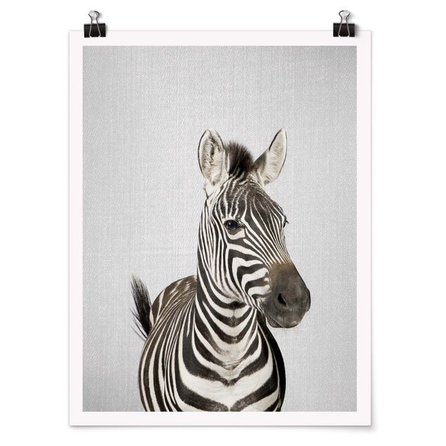 schöne Bilder Zebra Zilla