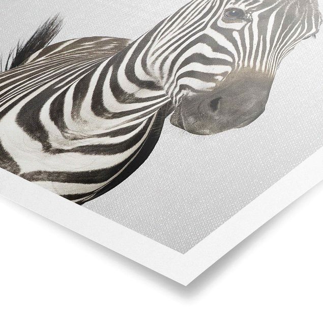 Poster kaufen Zebra Zilla