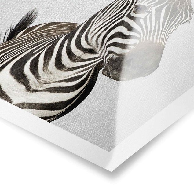 Poster - Zebra Zilla - Hochformat 3:4