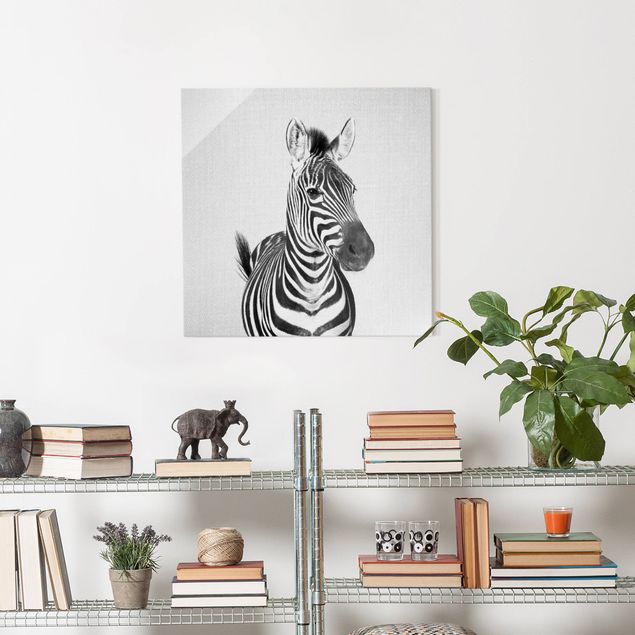 Glasbild schwarz-weiß Zebra Zilla Schwarz Weiß