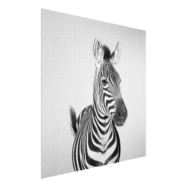 Bilder Zebra Zilla Schwarz Weiß