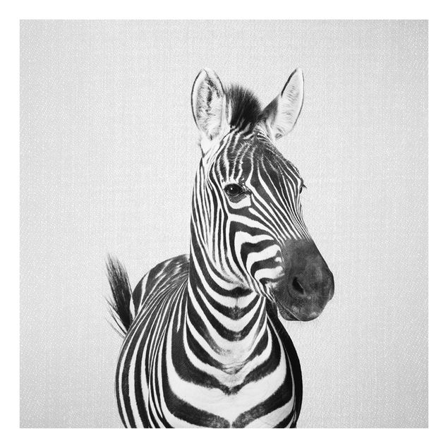 Glasbilder Zebra Zilla Schwarz Weiß