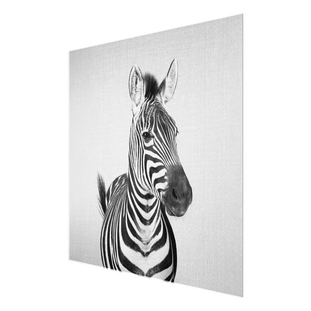 Glasbild - Zebra Zilla Schwarz Weiß - Quadrat