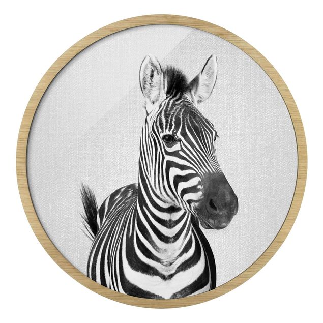 schöne Bilder Zebra Zilla Schwarz Weiß
