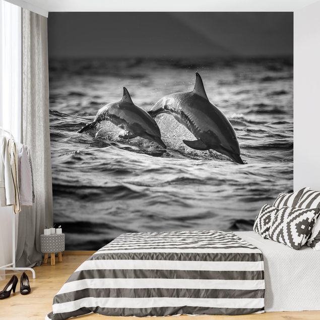 Design Tapeten Zwei springende Delfine