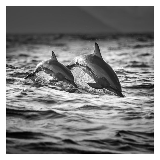 Fototapete - Zwei springende Delfine